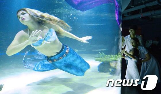 본문 이미지 - 지난 7월 초 리뉴얼 오픈한 서울 여의도 '한화 아쿠아플라넷 63(옛 63씨월드)'에서 인어복장을 한 외국인 다이버들이 '머메이드 쇼'를 펼치고 있다. 2016.6.30/뉴스1 ⓒ News1 구윤성 기자
