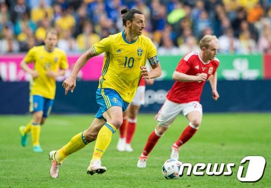 본문 이미지 - 스웨덴의 공격수 즐라탄 이브라히모비치가 6일 스웨덴 솔나의 프렌즈 아레나에서 열린 웨일스와의 평가전에서 드리블을 하고 있다. ⓒ AFP=News1