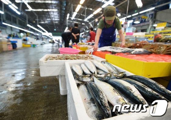 본문 이미지 - 경기도 수원시 권선구 농수산물도매시장 ⓒ News1
