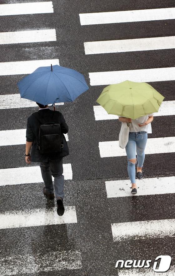 본문 이미지 - 기사 이해를 돕기 위한 비 내리는 횡단보도 자료 사진으로 기사 내용과 직접 관련 없음. ⓒ News1