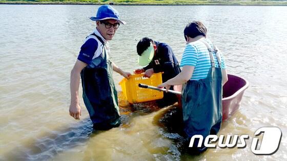 본문 이미지 - 울산시는 29~31일 사흘간 태화강 하류 재첩잡기 체험행사를 개최한다.ⓒ News1
