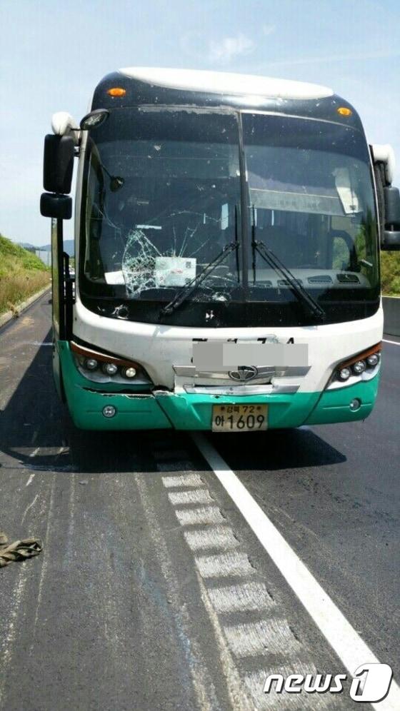 본문 이미지 - 23일 오전 11시28분께 대전~통영간 고속도로 전북 무주군 무주IC 인근에서 통영방향 고속버스가 1톤 트럭을 추돌하는 사고가 발생했다. 2016.7.23./뉴스1 ⓒ News1