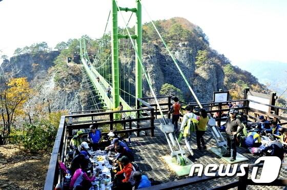 본문 이미지 - 청량산 하늘다리/사진제공=봉화군 ⓒ News1