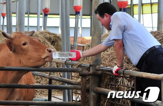 본문 이미지 - 경북 포항시 남구 오천읍 세계2리 광명 농장. ⓒ 뉴스1 최창호 기자
