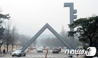 본문 이미지 - 서울대 국사학과, 동양사학과, 서양사학과가 47년만에 한 학부로 통합을 추진하고 있다. ⓒ News1