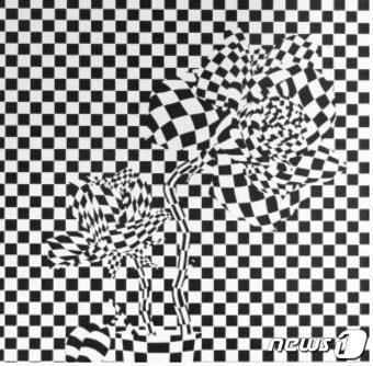 본문 이미지 - 박준석 작가의 옵아트 작품(대담미술관 제공)2016.7.27/뉴스1ⓒ News1