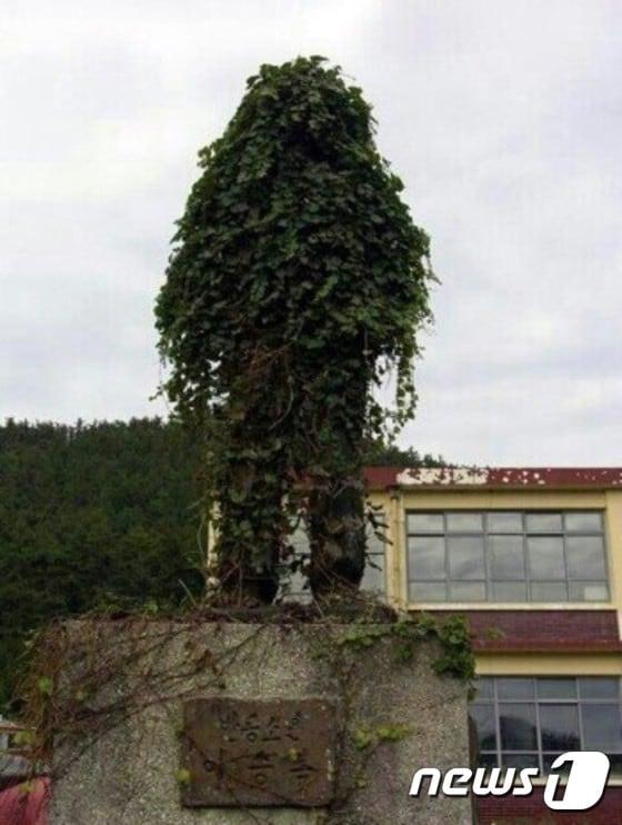본문 이미지 - 넝쿨에 뒤덮인 이승복 동상 (오늘의 유머 캡처) ⓒ News1