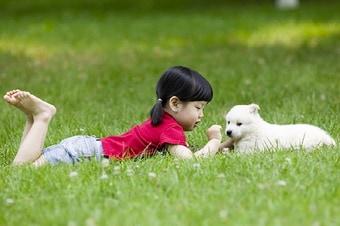 본문 이미지 - ⓒ News1