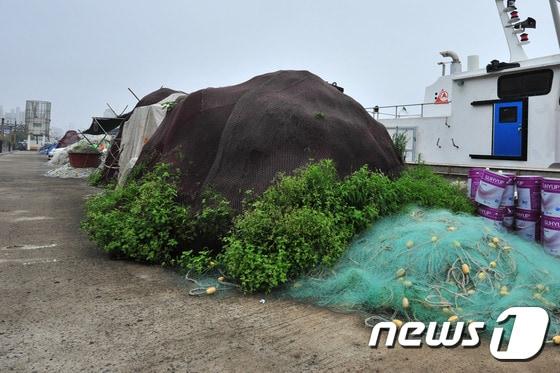 본문 이미지 - 방치된 불법어구