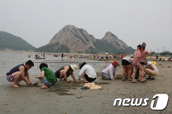 본문 이미지 - 전북자치도 군산 선유도해수욕장&#40;뉴스1/DB&#41; 