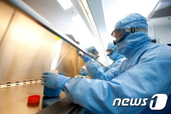 본문 이미지 - ⓒ News1