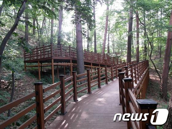 본문 이미지 - 강원 강릉시 성산면 어흘리  ‘대관령 치유의 숲’ 중 치유 데크로드.&#40;뉴스1 DB&#41;