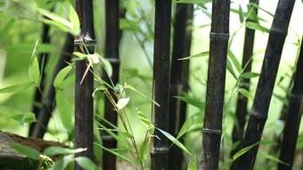 본문 이미지 - ⓒ News1