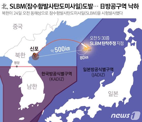본문 이미지 - ⓒ News1 최진모 디자이너