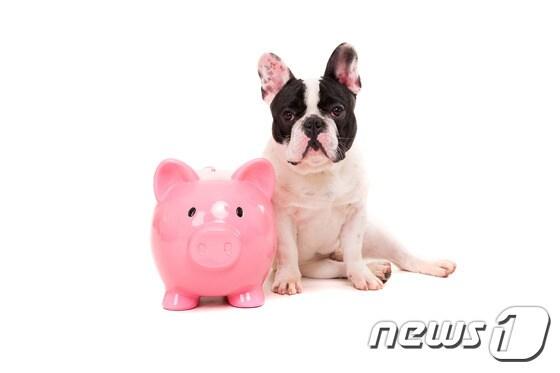 본문 이미지 - (사진 이미지투데이) ⓒ News1