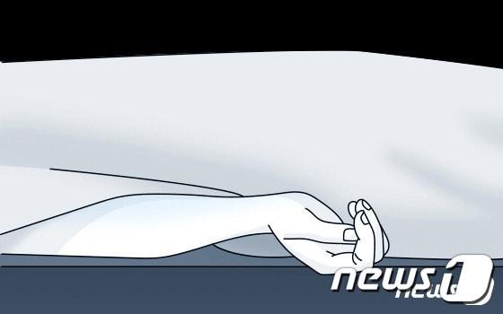 본문 이미지 - ⓒ News1