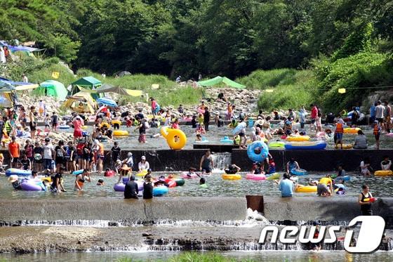 본문 이미지 - 단양군  영춘면  남천계곡에  휴가철을   맞아  수많은  피서객이 몰렸다.ⓒ News1