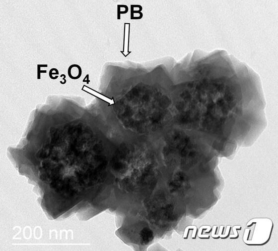 본문 이미지 - 자성나노입자응집체 표면에 육면체 구조의 프러시안 블루(PB)가 코팅된 모습ⓒ News1