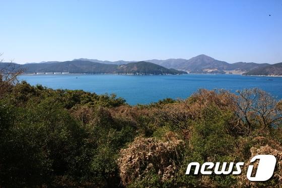 본문 이미지 - 거제도 앞 지심도의 원시림에 바라본 남해바다의  모습. (한국관광공사 제공)ⓒ News1