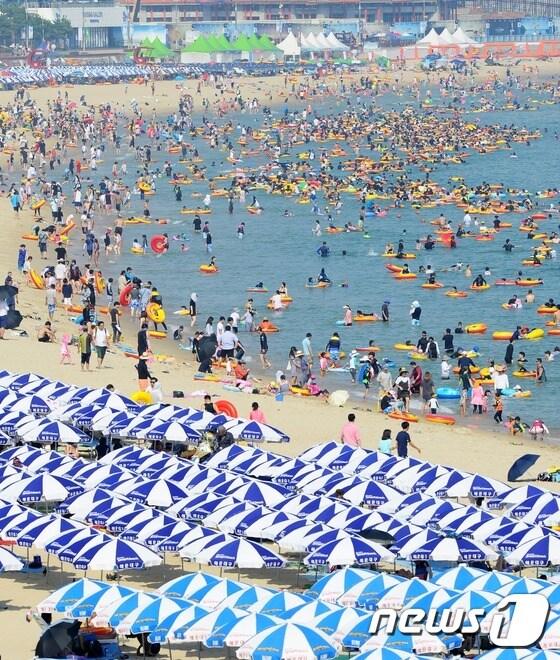 본문 이미지 - [자료사진] ⓒ News1