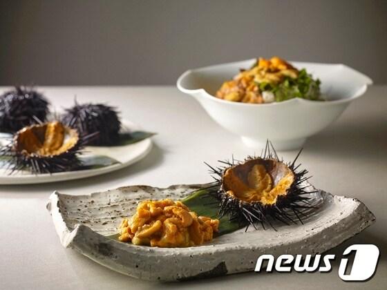 본문 이미지 - ⓒ News1