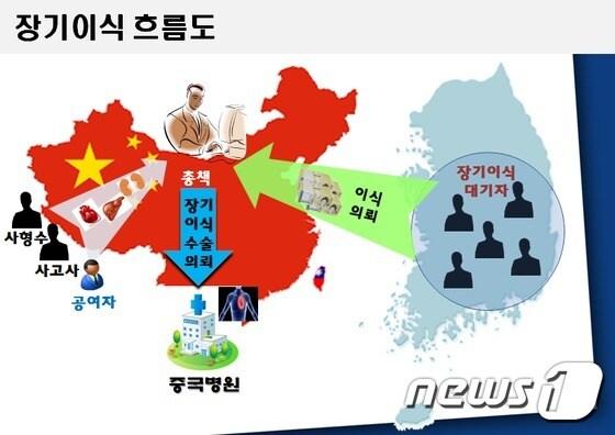 본문 이미지 - 부산지방경찰청 국제범죄수사대는 장기이식을 원하는 환자들을 중국인으로 위장시킨 뒤 중국 상해에 있는 장기이식 병원을 알선해 부당이득을 취한 조직의 총책임자를 검거했다고 12일 밝혔다. 총책 김모씨(43)가 운영한 장기알선 조직 범행 흐름도. (부산지방경찰청 제공)ⓒ News1