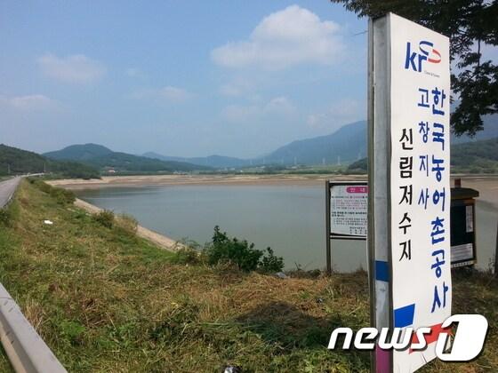본문 이미지 - 계속된 여름 가뭄으로 전북 고창군 신림저수지가 바닥을 드러냈다. 9월 현재 신림저수지 저수율은 14%로 예년 평균 저수율 70%의 1/4에 그치고 있다./ 뉴스1DBⓒ News1 박제철 기자
