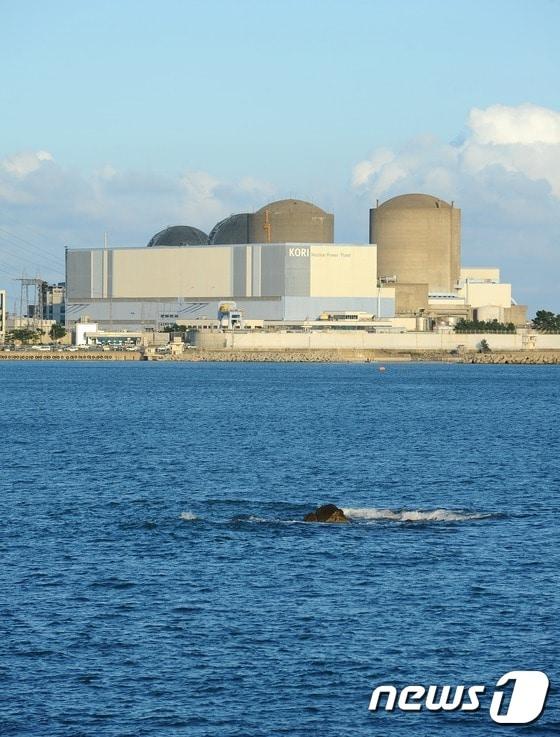본문 이미지 - 부산 기장군 고리원전 전경.ⓒ News1