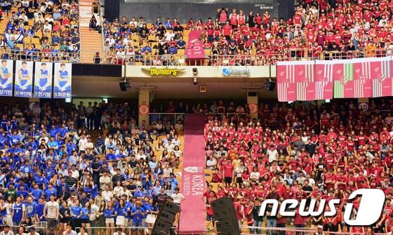 본문 이미지 - 서울 잠실체육관에서 열린 '2016 정기 연고전' 농구경기에서 양교 학생들이 열띤 응원전을 펼치고 있다. 2016.9.23/뉴스1 ⓒ News1 최현규 기자