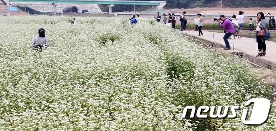 본문 이미지 - ⓒ News1