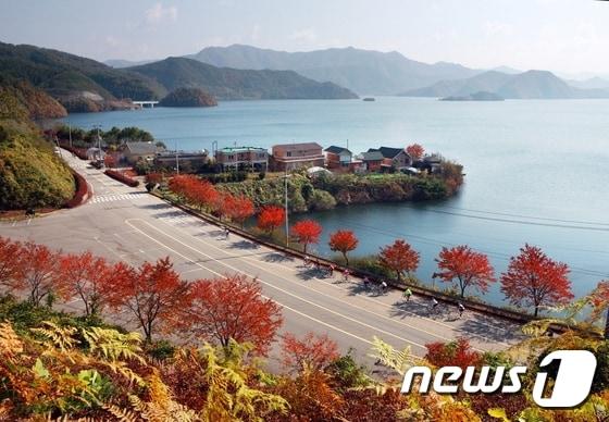 본문 이미지 - 용담호를 끼고 넓은 호수 위를 달리는 환상의 드라이브길이 가을의 정취를 느끼기 제격이다.(진안군 제공, 김수정 사진작가의 '호반의 가을') 2016.9.30 /뉴스1 ⓒ News1 김대홍 기자