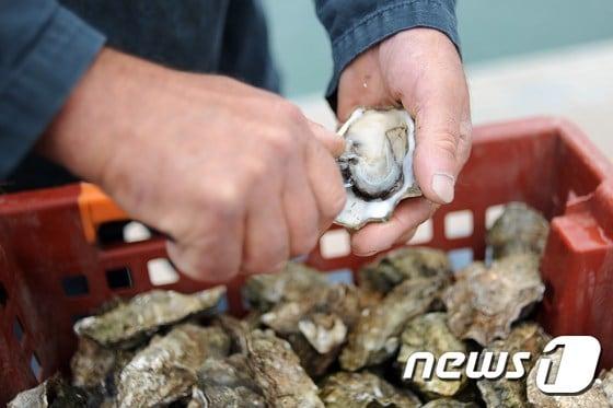 본문 이미지 - (사진은 기사 내용과 무관함) / 뉴스1 ⓒ News1