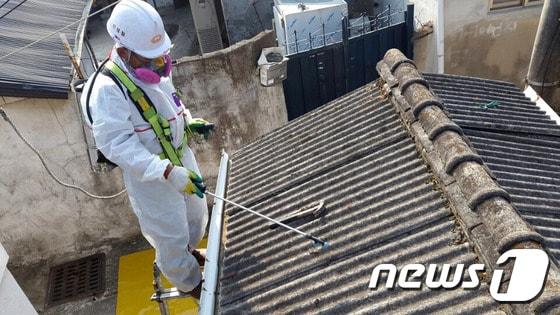 본문 이미지 - 제주시가 도로변 등에 방치된 폐슬레이트를 전량 수거. 처리한다. 석면 슬레이트 철거장면. / 뉴스1