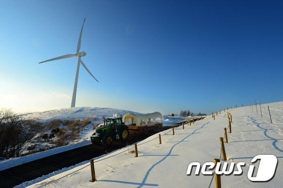 본문 이미지 - 강원 평창군 대관령 하늘목장의 겨울(대관령 하늘목장 제공).2017.1.16 ⓒNews1