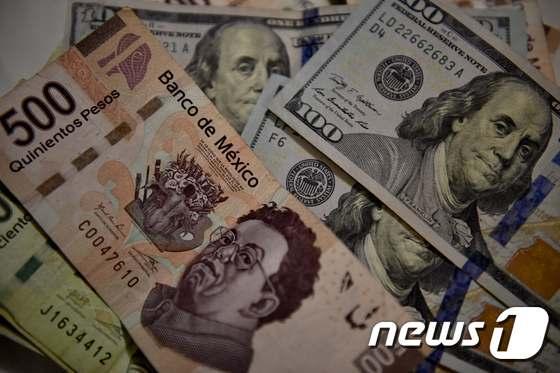 본문 이미지 - 멕시코 페소와 미국 달러. ⓒ AFP=뉴스1