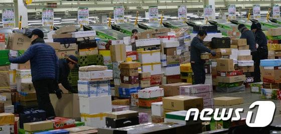 본문 이미지 - 우정사업본부 물류센터 직원들이 서울 광진구 동서울우편물류센터에서 소포와 택배를 분류하는 모습/뉴스1 ⓒ News1