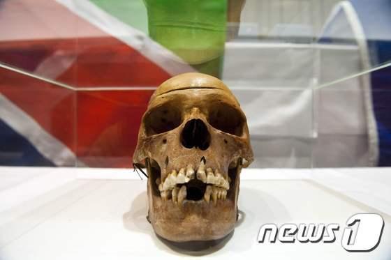 본문 이미지 - 2011년 9월 공개된 독일 식민 정부에 의해 희생된 나미비아 원주민들의 두개골. ⓒ AFP=뉴스1