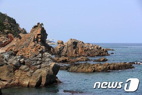 본문 이미지 - 강릉 부채길. 강릉시 제공 ⓒ News1