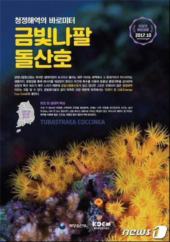 본문 이미지 - ⓒ News1