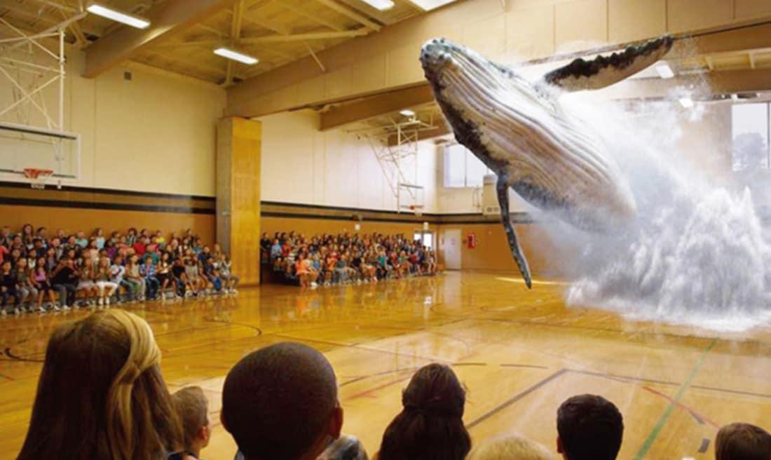 본문 이미지 - '혼합현실' 기업인 미국 매직 리프(Magic Leap)의 혼합현실 동영상 장면 ⓒ News1