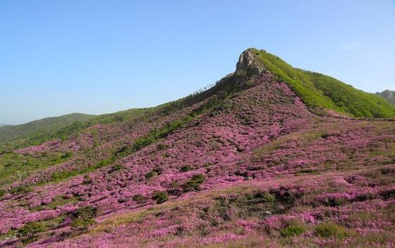 본문 이미지 - 영화  고산자 대동여지도 속 배경지 경남 합천 황매산ⓒ News1