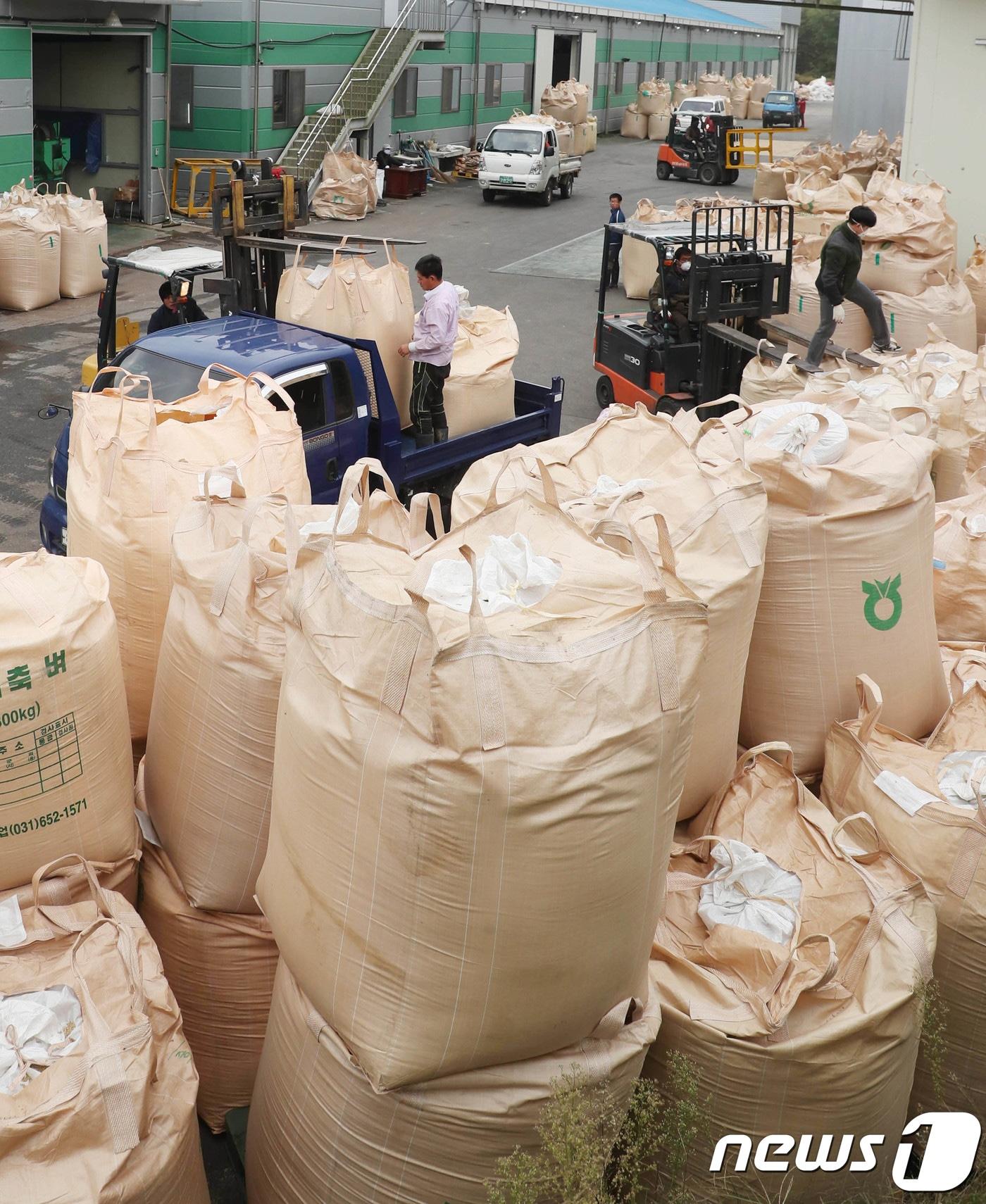 본문 이미지 - 공공비축미 수매.(기사의 특정사실과 관련없음) /뉴스1 ⓒ News1