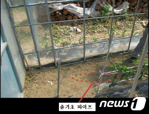 본문 이미지 - 비닐하우스 부실시공 흔적. 바닥 줄기초 파이프를 지면으로부터 약 25cm 이상 매립해야 됨에도 매립하지 않아 그대로 드러난 상태.(강원지방경찰청제공) ⓒ News1 홍성우 기자