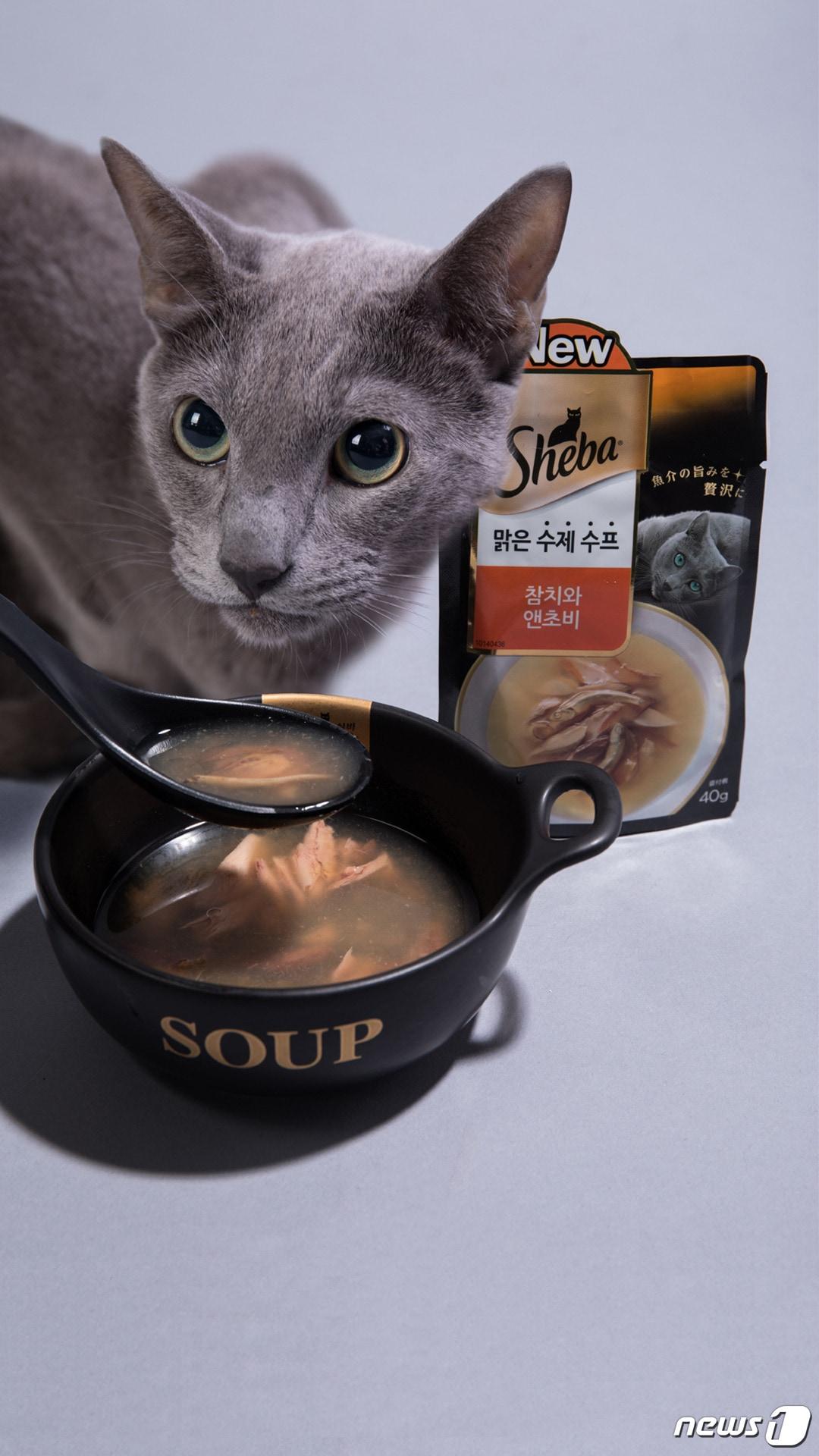 본문 이미지 - 고양이 간식 '쉬바 수제수프'.ⓒ News1