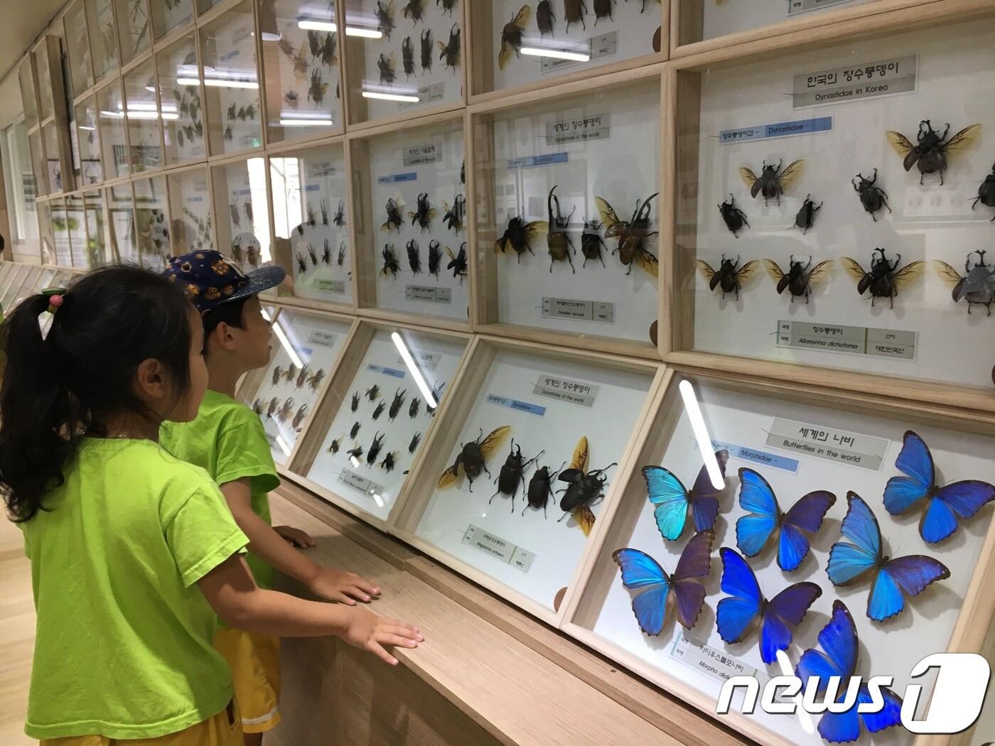 본문 이미지 - 서울시농업기술센터 곤충체험관에서 곤충을 관찰하는 어린이들.(서울시 제공)ⓒ News1