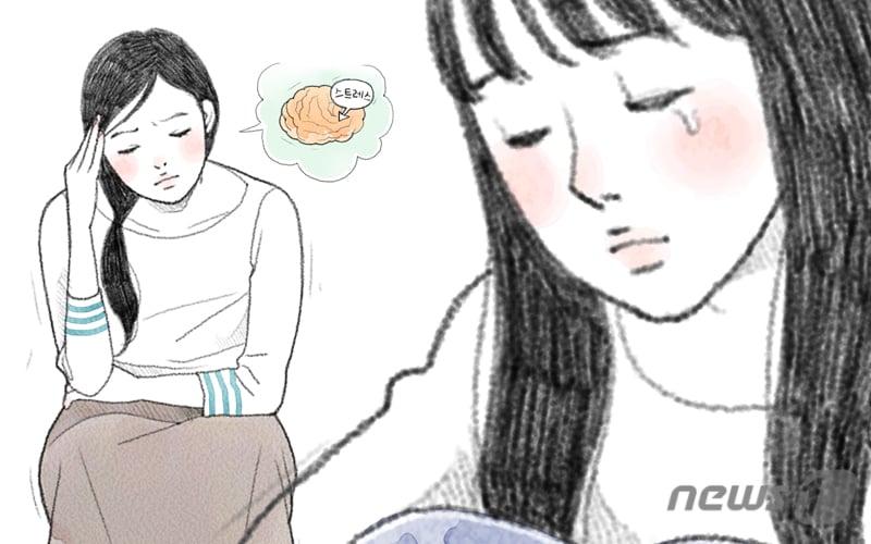 본문 이미지 - ⓒ News1 DB