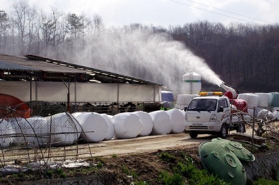 본문 이미지 - 조류인플루엔자 방역 (증평군 제공) ⓒ News1