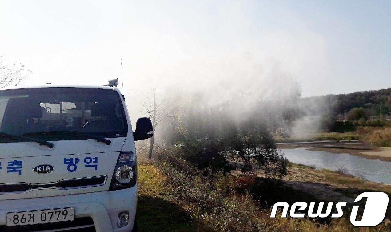 본문 이미지 - 조류인플루엔자 방역 자료사진ⓒ News1