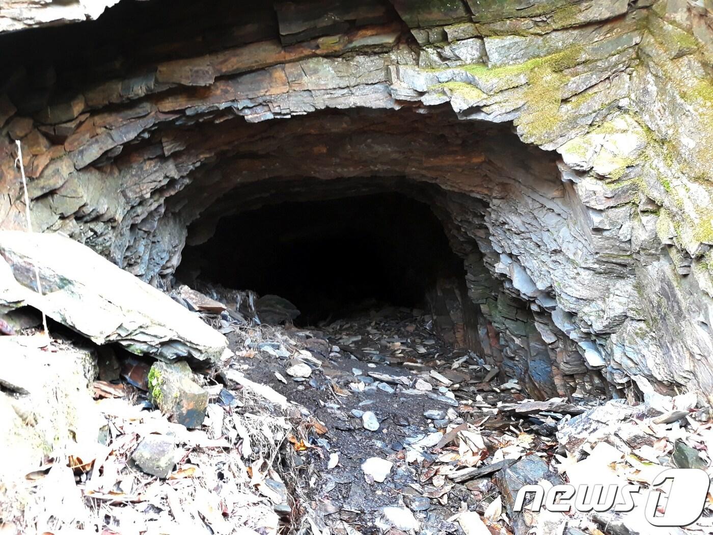 본문 이미지 - 2017년 11월 11일 충북 보은군 내북면 한 토굴에서 40대 여성 A씨 시신이 발견됐다. 발견 당시 A씨 시신은 심하게 훼손된 상태였다.(뉴스1 DB)