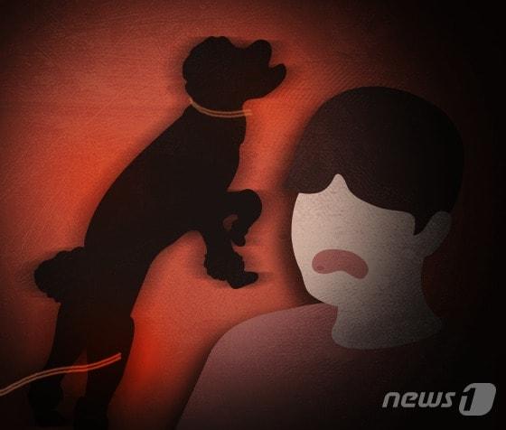 본문 이미지 - ⓒ News1 DB